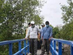 Pemkab Tanjabbar Apresiasi Desa Tungkal I Terkait Perlindungan Penuh Terhadap Kawasan Hutan Mangrove