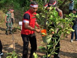Edi Purwanto Apresiasi Polda Jambi Lakukan Penanaman Pohon di Danau Sipin