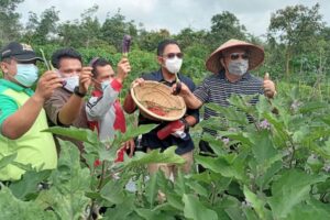 Pemberdayaan TPA, Bupati Tanjabbar Panen Raya Organik di Desa Lubuk Terentang