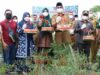 Bupati Tanjabbar Lakukan Panen Cabe Merah Di Area Tanah 10 Hektar