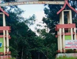 Hutan Lindung Senami Dijadikan Tempat Perkebunan Warga dan Illegal Drilling.