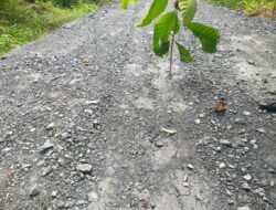 Proyek Peningkatan Jalan Parit Lapis Desa Tungkal 1 Baru Seumur Jagung Bonyok Akibat Penggunaan Agregat Banyak Tanah