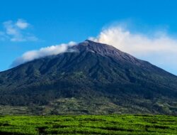 Wisata Jambi Paling Terkenal, Mulai dari Alam hingga Tempat Sejarah