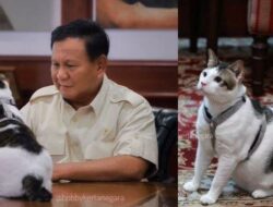 Momen Prabowo Boyong “Bobby” Kucing Kesayangannya ke Istana Negara