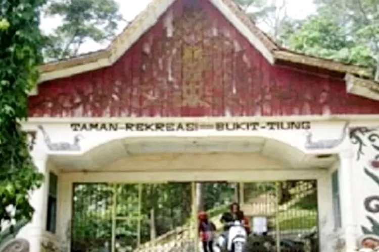 Taman Bukit Tiung