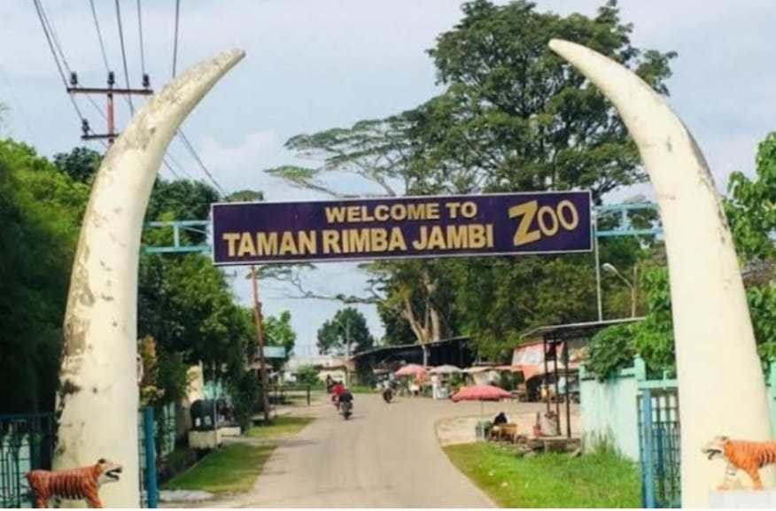 Taman Rimba Jambi