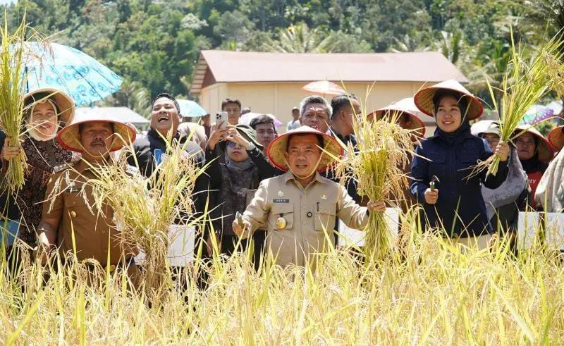 Gubernur Al Haris Dorong Kepala Daerah Perkuat Sektor Pertanian Demi Swasembada Pangan [SR28/Ist]